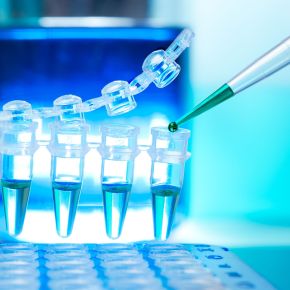 Software Development Company in Vadodara